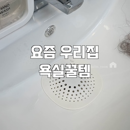 #욕실관리꿀템
먼저 욕실 청소를 시작하면 가장 신경 쓰이는 게 물때와 구석구석 쌓이는 이물질이잖아요.🥲
이번에 청소템을 바꾸고 나서는 욕실 관리가 훨씬 쉬워졌어요👍
실리콘 커버 덕분에 이물질이 끼는 일이 확 줄어서 청소할 때도 부담이 없고, 관리도 정말 간편해요. 천연 수세미는 스크래치 걱정 없이 세면대나 수전도 안심하고 닦을 수 있어서 좋더라고요.✨
틈새 솔은 평소 손이 잘 닿지 않던 모서리와 배수구 주변까지 구석구석 깨끗하게 청소해줘서 욕실이 한결 깔끔해졌어요. 
여기에 무타공 칫솔걸이까지 함께 사용하니 칫솔은 물론 면도기와 혀클리너까지 깔끔하게 한곳에 거치할 수 있어 욕실이 훨씬 정돈된 느낌이에요:)
바닥에 닿지 않게 보관할 수 있어 위생적으로 사용할 수 있는 점도 정말 만족스러웠어요!
매일 사용하는 공간인 만큼 청소와 정리가 쉬워지니 욕실 관리가 훨씬 편해졌어요. 
작은 아이템 몇 가지만 바꿨을 뿐인데 욕실이 더 깔끔하고 쾌적해져서, 저처럼 욕실 정리를 고민하는 분들께 꼭 추천드리고 싶은 살림템이에요. 🤍
#오늘의집 #오집스타그램 #욕실청소 #욕실청소템 #청소꿀템 #욕실정리 #정리정돈 #욕실인테리어 #욕실용품 #생활용품 #살림템 #주부추천 #집꾸미기 #청소용품 #욕실관리 #무타공칫솔걸이 #천연수세미 #틈새청소 #깔끔한집 #살림꿀템