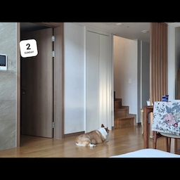 날씨가 덥다보니 나도 겨울이도 그 맛있는 늦잠을 못자고
이른 아침부터 거실에 나와 에어컨만 친구 삼고 있어요.
소파에 앉아 문득 거실을 둘러보니
윗층 계단,팬트리, 주방마루에 눈부신 아침 햇살이 
슬며시 들어와 있네요.
오늘도 더울라나 보다.....
오늘은  식물 시중 일찍 시작합니다. 
식집사의  아침 루틴 시작으로.
오늘 하룬 무얼 할까요 ? 
#오늘의우리집 #콘수프기록집 #아침루틴 #식집사 #일상기록 
#식물인테리어 #복층인테리어 #복층아파트 #거실 #공간스타일링 #취향 #여름나기 