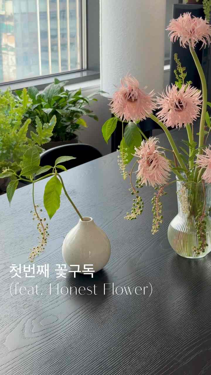 

花の購読を始めました。

私が選んだ花の購読サービスはいつも目を見ました
アーニストフラワー  #꽃인테리어 #집꾸미기 #일상 #집 #거실 #인테리어 