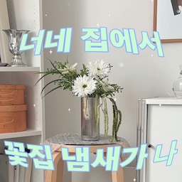꽃집에 들어온 것 같은 향기🌸
집에 들어왔을 때 은은하게 퍼지는 향 하나만으로도
공간의 분위기가 달라지는 것 같아요🤍
요즘처럼 더운 날씨에는 집 안 냄새가 신경 쓰일 때가 많은데 헤트라스 디퓨저로 향기로운 공간을 만들어봤어요
500ml 대용량이라 오래 사용할 수 있고,
1급 수석 조향사가 직접 조향한 향이라
취향에 맞는 향을 고르는 재미도 있어요
감성적인 디자인 덕분에 인테리어 소품처럼 자연스럽게 어우러지는 것도 마음에 들었던 부분이에요
작은 변화지만 매일 머무는 공간을 더 기분 좋은 곳으로 만들어주는 마법🫧
#콘수프기록집 #인테리어노하우 #작은방 #작은방꾸미기 #3평방 #3평방꾸미기 #3평방인테리어 #방꾸미기 #쇠테리어 #모던 #미드센츄리모던 #포인트벽지 #빈티지벽지 #아르떼미데 #아르떼미데테티 #아르떼미데톨로메오 #모듈선반 #모듈화장대 #노만코펜하겐 #셰이커박스 #1인용가구 #1인소파 #아르텍 #아르텍스툴 #플랫포인트 #틴토미러 #벽난로 #헤트라스 #헤트라스디퓨저 #디퓨저 