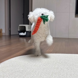 🤍
멍집사의 #청소추천템 🧹
1. #향균스프레이
줍줍하고나면 냄새가 남아 소독스프레이를 사용합니다.
2. #바닥클리너
잘 닦는다고해도 얼룩이 남아 물에 희석에 시용해요~
라벤더향이 나서 기분까지 좋아집니다^^
3. #밀대
내 허리와 무릎은 소중하니까요~~
.
.
#ftc27기
#청소용품 #청소템 #청소루틴 #집청소 #청소스타그램 #살림템 #살림스타그램 #살림일상 #주부일상 #집안일 #홈케어 #집관리 #깨끗한집 #깔끔한집 #집꾸미기 #홈스타그램 #일상스타그램 #멍집사 #강아지집사 #반려견과함께 #강아지있는집 #댕댕이집 #강아지일상 #살림기록