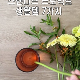 일본 여행 가면 꼭 들러야 한다는 스탠다드 프로덕트!
(요즘엔 다이소보다 스탠다드 프로덕트래요 ~!)
지나칠 수 없어서 몇 개 집어 와봤는데, 역시 기대를 저버리지 않네요..✨
심플하면서도 감성 낭낭한 디자인에 가성비까지 챙겨서 집안 어디에 둬도 찰떡이에요.
이번에 데려온 아이템들 하나씩 소개해봅니다 :)
#일본여행필수템 #스탠다드프로덕트 #다이소 #일본감성 #일본인테리어 #일본쇼핑 