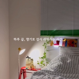 하루를 정신없이 보내고 나면
잠들기 전만큼은 아무 생각 없이 
편안하게 쉬고 싶잖아요 🌙
요즘 제가 자기 전에 챙기는 작은 루틴은
르에르베 코리아 L'HERBE의
딥슬립 필로우 아로마오일 + 네잎클로버 아로마 참이에요.
아로마 참에 오일을 2~5방울 톡톡 떨어뜨린 뒤
베개 위에 살포시 올려두면
은은하게 퍼지는 향과 함께 침실 분위기도 한층 편안해지는 느낌 🤍
특히 인공향료 없이
라벤더 · 스윗오렌지 · 시더우드가 블렌딩된 
100% 천연 에센셜 오일이라
잠들기 전 향기 루틴으로 부담 없이 즐기기 좋았어요.
그리고 네잎클로버 모양의 아로마 참과
리본 기프트백까지 함께 구성되어 있어서
나를 위한 작은 선물은 물론,
소중한 사람에게 마음을 전하는
프리미엄 선물 세트로도 예쁘더라고요.
저는 남편 베개 위에도 살짝 올려두고
오늘 하루 수고한 너도
예쁜 밤이 되기를 🤍
바쁜 하루의 끝에서
향기 하나로 잠시 쉬어가는 시간.
잠들기 전 나를 위한 향기로운 힐링 리추얼,
하루를 차분하게 마무리하는 향기 루틴 🌙
#르에르베 #LHERBE #딥슬립필로우아로마오일 #아로마오일 #에센셜오일 #아로마테라피 #천연아로마오일 #라벤더오일 #스윗오렌지 #시더우드 #아로마참 #필로우아로마 #향기루틴 #힐링루틴 #수면루틴 #숙면제품 #수면제품 #침실인테리어 #침실꾸미기 #집들이선물 #생일선물 #선물추천 #프리미엄선물 #선물세트 #감성선물 #커플선물 #신혼집  #홈리추얼 #콘수프기록집 #오늘의우리집