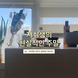 #여름네컷 #콘수프기록집 
밀린 빨래 돌리고
바닥 청소하고
쌓아둔 물건들 제자리 찾아주고 나면
그제야 진짜 주말 시작 ☀️
자취생 여러분도 주말에 청소하는 편인가요?
#자취생 #자취일상 #자취방 #원룸자취 #원룸인테리어 #자취브이로그 #자취생브이로그 #직장인자취 #직장인일상 #주말일상 #집순이 #집청소 #팔로우환영 #오늘의집 #콘수프기록 #콘수프챌린지 #선팔 #맞팔 #선팔환영 #원룸오피스텔 #청소루틴 #청소하는날 
