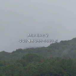 #예쁜살림템
비 오고 흐린 날엔
빨래 꿉꿉한 냄새가 제일 걱정이죠 🌧️
요즘은 왓아릴리프 캡슐세제로 세탁하고
스페브릭 미스트로 마무리해요~
캡슐 하나로 간편하게 세탁하고,
실내 건조에도 은은한 향이 남아 산뜻해요!!
빨래 후 미스트를 가볍게 뿌려주면
향이 한층 더 오래 유지되는 느낌! 
비 오는 날에도
꿉꿉함 없이 향기롭게 빨래 끝 🤍
#왓아릴리프 #캡슐세제 #여름체크리스트 #요즘드레스룸 #우리집취향기록 #집요한여름준비템 #집요하게고른템 #집요한살림템 #작은변화큰차이 #세탁용품 #캡슐세제추천 