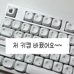 #챌린지참여 #예쁜템최고야 #데스크테리어 #키보드꾸미기 #앱코키보드 #키캡 #키캡추천 #컨트롤알트 
최근에 저소음축 키보드 영상 올렸었는데요!
드디어!! 고민 하던 키캡을 주문 하고 바꿔봤어요~~
바꾸고나니 너무 마음에 들어서 매일 뿌듯해 하면서 쓰고 있어요!
키캡을 바꿔도 키압 느낌이나 타건 소리가 거의 그대로라서 
너무 너무 좋아요!
여러분들도 좋아하시는 키캡 있으신가요~? 