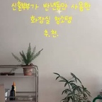신혼집의 화장실 청결을 도와주는 청소템 추천 3가지!!
바로 들어갈게요🫡

1.무인양품 오염 청소 티슈
-롤형태의 간단한 사용법
-도기부터 타일 전체에 사용가능한 티슈

2.바이칸 청소솔 세트
-그립감 좋고 강도 좋은 최고의 아이템
-색감으로 욕실에 널부러뜨려도 살아나는 미감

3.발을 씻자
-그냥 씻자 수준의 전방위적인 세정력
-순한 성분으로 욕실 청소시 인체에도 적은 부담감

쓰다보니 더욱 더 만족도가 높은 실전템 위주로 추천드려요☺️

여러분은 어떤게 제일 마음에 드시나요?
또 여러분만의 추천템은 어떤건가요?
댓글로 공유해주세요~🙂 
#ftc27기 #신혼집인테리어 #신혼집꾸미기 #청소템 #욕실인테리어 #바이칸청소솔 #발을씻자 #무인양품추천템 