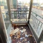 #인테리어노하우 #콘스프기록집

19평 구축 빌라가
이렇게 달라졌습니다.

처음 집을 봤을 때는
낡고 답답한 느낌이 강했어요.

공간마다 문이 많았고
빛도 깊숙이 들어오지 않았죠.

그래서 예쁘게 꾸미기보다
답답함을 없애는 것부터 시작했어요.

필요 없는 문은 철거하고
다이닝 공간을 넓혔습니다.

주방 상부장도 과감히 없애
시야가 트이게 만들었어요.

집 전체 컬러는
화이트와 베이지로 맞추고,

블랙 가구를 포인트로 더해
밋밋함을 잡았습니다.

좁은 집일수록 중요한 건
가구를 작게 두는 게 아니라,

시선이 끊기지 않도록
색과 선을 통일하는 거였어요.

조명도 하나만 밝게 켜기보다
공간마다 은은하게 나눴고요.

비싼 가구로 채우기보다
구조와 분위기에 집중했습니다.

덕분에 같은 19평인데도
훨씬 넓고 편안해졌어요.

철거를 앞둔 오래된 빌라도
충분히 취향을 담을 수 있어요.

나중에 집 꾸밀 때 보시도록
저장해 두세요 🤍

#19평인테리어 #구축빌라인테리어 #구축리모델링 #빌라인테리어 #비포애프터 #집전체인테리어 #신혼집인테리어 #화이트인테리어 #좁은집인테리어 #소형평수인테리어 #홈스타일링 #온라인집들이 #집꾸미기 #인테리어노하우 #오늘의집