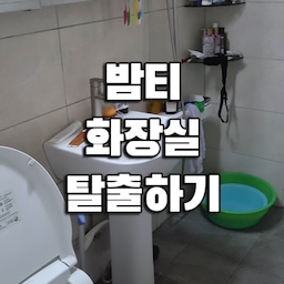 10년 묵은 친정 화장실, 싹 갈아엎었습니다 🖤
​여름 동안 생긴 곰팡이부터 찌든 때까지 시원하게 박멸하고,
10년 된 낡은 욕실용품들은 싹 정리해서 비워냈어요!
​정리용품과 스테인리스 소품들로 채워 넣었더니
칙칙했던 화장실이 모던한 쇠테리어 욕실로 완벽 환골탈태 ✨
​아빠가 새 화장실이 됐다며 너무 좋아하셔서 땀 흘린 보람이 제대로 느껴졌던 하루였어요. 뿌듯뿌듯 👩‍👧‍👦🤍
+화장실 청소용품들 한쪽에 싹 걸어주니, 보송보송 잘 말라서 물때, 곰팡이 걱정 없고 너무 깔끔해요. 스텐이라 위생관리에도 좋아요. 정말 대만족입니다!!
#콘수프기록집 #현명한소비 #ftc27 #화장실청소 #화장실청소템 #화장실수납  #화장실청소 #욕실인테리어 #욕실청소 #쇠테리어 #살림꿀템