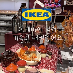 #예쁜템최고야 #콘수프기록집 #이케아 #이케아추천템 #할로윈 #할로윈데코 #가을인테리어 #가을추천템 #가을 
이번주에 이케아 다녀왔어요.
이케아는 벌써 가을 느낌 낭낭하고 할로윈이더라구요🧡🤎🧡🤎 조명부터 보관함, 호박아이템 등 데리고 오고 싶은템 한가득!!!😌 눈호강하고 왔지 뭐에요.
이케아 가을 느끼러 이번주 #이케아쇼핑 어떠세요😊

