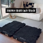 
지방에서 올라온 동생이 하룻밤 자고 가더니, 
자취방 침대보다 훨씬 편하다며 
언니 물건 고르는 눈썰미에 연신 감탄하더라고요 😌

사실 이거 제 최애 꿀템 중 하나인데요!

✨ 버튼 하나면 끝
버튼만 누르면 스스로 공기가 채워져서 매트가 쭈욱 펴져요

✨ 무려 10cm 두께
이거 하나면 호텔 침대 부럽지 않게 푹신푹신 꿀잠 잘 수 있어요

✨ 수납과 휴대성까지 완벽
손님 갈 때는 공기만 싹 빼서 접어두면 부피가 엄청 확 줄어들어요. 평소엔 수납장에 쏙!

#예쁜템최고야 #콘수프기록집 