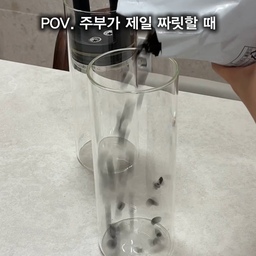 POV. 주부가 제일 짜릿한 순간✨
텅 빈 통을 하나씩 꽉 채우는 순간,
별거 아닌데 왜 이렇게 기분 좋은지😌
원두도 와르르 채우고☕️
쌀이랑 콩도 든든하게 채우고
식세기 세제도 빈틈없이 꽉!
계란 트레이도 가지런히 채워주고🥚
수박은 먹기 좋게 큐브로 싹둑🍉
곳간에 김까지 넉넉하게 쟁여두면
괜히 마음까지 든든해지는 살림의 맛🤍
살림하다 보면 유독
도파민 터지는 순간들이 있잖아요?
여러분의 짜릿한 순간도 공유해주세요✨
#살림 #살림꿀팁 #살림브이로그 #주부 #주부일상 #주부브이로그 #주방살림 #주방정리 #정리정돈 #정리수납 #집안일 #살림루틴 #주방용품 #냉장고정리 #식재료보관 #소분 #리빙 #리빙꿀팁 #콘수프기록집 