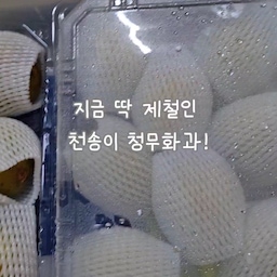 요즘 무화과가 제철이라 딱 먹기 좋네요. 
청무화과 온라인 주문으로 맛봤는데 넘 맛있었어요. 
또 사먹어야지!
#현명한소비 #콘수프기록집 #먹기록 #과일 #무화과 #취미 #취향 #맞팔 #소통 