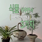 식집사의 완벽한 실내 분갈이3가지 추천 
분갈이, 이 3개만 있으면 진짜 쉬워져요!

첫 번째, 미니 가드닝 14종 키트인데
파우치 하나에 쏙 들어가서 보관도 사용도 완전 편해요.
모종삽부터 가위까지 14개가 요 작은 파우치 안에 
다 들어있어서 필요할 때마다 쏙쏙 
꺼내 쓰기 진짜 편하더라고요.

두 번째, 통기성 토양 바닥 스크린은
화분 바꿀 때 바닥에 딱 깔아주면
공기가 잘 통해서 뿌리 썩음이랑 과습을 미리 막아줘요.

세 번째, 방수 식물 갈이 매트는
흙 흘릴 걱정 없이 깔끔하게 분갈이 가능해요
배양토 섞을 때도 좋고, 정리도 훨씬 간단해져요.
이 조합이면 분갈이 걱정 끝, 
슬기로운 식집사 생활 완성이에요.




#현명한소비 #식집사 #식물 #분갈이 #분갈이화분 #화분정리 #분갈이매트 #분갈이용품 #분갈이하기 #식물키우키 #식물일기 #식물집사 #식물기르기 #플랜테리어 #플랜테리어식물 #식물데코 #분갈이흙 #다육이키우기 #다육이키트 #식집사는너무바빠 