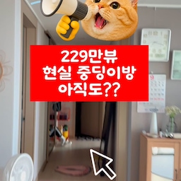 #인테리어노하우 #콘수프기록집 
글을 썼는데...다 날아갔.....이런이런!!!!!!
이번에는 가을맞이 구조변경을 했지용🤗
화장대랑 침대만 구조를 바꿨더니 10분컷!!ㅎㅎㅎ
계절이 바뀌면 이렇게 구조도 한번씩 바꿔줘야 기분전환도 되구요!!
제일 많은 제품문의가 온것부터 다시 한번 알려드릴께요!!
🎈화장대 @esmart.co.kr 마카롱 수납화장대 600
오늘의집 링크를 드렸더니 꽤 구매를 하신것 같더라구여👍
🎈책장 쉬어 @swieo_gagu 로코전면 아기 책장 교구장
🎈침대&매트리스 @sofsys 포근 슬립 오가닉 매트리스 ss
🎈책상 더스테이 인테리어테이블
🎈바지걸이 MF매직하우스 이동식 바지걸이 행거
🎈책상의자 @neochair_kr 위너 학생 공부 메쉬 접이식 의자
앗!!그리고 방 사이즈 문의도 좀 있던데 33평에 방 4개중 하나의
방이고 3.3*3.6 정도의 사이즈에요!!
#맞팔 #맞팔환영 #맞팔해요 #맞팔선팔 #맞팔소통 #맞팔환영해요 
#아이방 #아이방꾸미기 #아이방구조변경 #구조변경인테리어 
#가을맞이 #가을맞이인테리어 #레이아웃변경 #레이아웃 #오늘의가든
