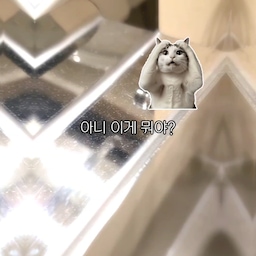 휴지걸이에 떨어져 있는 하얀 먼지,,🤐 은근 스트레스더라고요
그래서 바꿨어요! 먼지 덜 날리는 화장지라는데
확실히 전보다 덜 떨어져서 만족하며 사용 중이에요
100% 대나무 ‘풀’로 만들어 
나무를 베지 않고 만든 화장지라는 점도 마음에 들었어요👏
무향, 무색소, 무형광이라 
조금 더 안심하고 사용할 수 있을 것 같아요
평소 휴지 사용할 때 먼지가 신경 쓰이셨다면
대나무 휴지 한번 사용해 보시면 좋을 것 같아요🎋
#우리집정착템 #대나무휴지 #대나무키친타월 #정착템 #욕실템
#우리집욕실 #먼지없는휴지 #화장지추천 #ftc28기