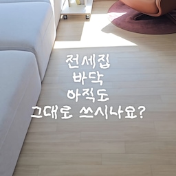 저희는 전세집이다보니 리모델링 하기 쉽지않더라구요
매번 사진 찍을때마다 바닥이 좀 아쉬웠는데
이번에 바로데코타일 깔아주니 완전 대만족 !
리무벌 스티커만 붙이고 깔아주면 끝! 
금액도 합리적이고 바닥 손상 없이 필요할 때는 깔끔하게 제거하고 재사용할 수 있어 원상복구도 쉬워요🤍 
3T의 탄탄한 타일이 견고하면서 내구성 좋고
섬세한 4도 프린팅으로 자연스러운 질감과 색감으로
공간을 훨씬 모던하고 분위기 있게 만들어줘요.
전 600각으로 깔았는데 넓은 공간도 금방 시공 가능했어요
온돌 최적화 설계로 뛰어난 열전달을 고려해
바닥 난방을 사용하는 집에서도 안심이고 들뜸 없이 사용하기 좋아요! 
친환경 인증에 유해물질 불검출까지 믿고 쓰는 바로데코타일
바닥 하나 바꿨을 뿐인데 공간 분위기가 확 달라졌죠?
진짜 넘 맘에 들어서 다음엔 어디를 깔아볼까 고민중🤔
#마루시공후기 #타일에미치다
#리모델링하다생긴일 #바닥시공 #바닥데코타일 #데코타일 #바로데코타일 #거실꾸미기 #모던인테리어 #오늘의가든 #맞팔 #전세집인테리어 #전세집꾸미기 #전세인테리어총집합 #월세집인테리어 #월세집꾸미기 #행복주택인테리어 #신희타인테리어 #신혼집인테리어 