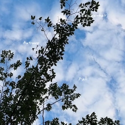 ☕️🤎
모두 연휴 잘 보내셨나요? 
⠀⠀⠀⠀⠀⠀⠀⠀⠀⠀⠀⠀⠀⠀⠀⠀⠀⠀
딱히 한 것도 없는 것 같은데
왜 이렇게 피곤한지 모르겠어요..😮‍💨
⠀⠀⠀⠀⠀⠀⠀⠀⠀⠀⠀⠀⠀⠀⠀⠀⠀⠀
라떼 한 잔으로 천천히 시작하는 월요일 아침
오늘도 무리하지 말고,
모두 월요팅 하세요!🤎🤍
⠀⠀⠀⠀⠀⠀⠀⠀⠀⠀⠀⠀⠀⠀⠀⠀⠀⠀⠀⠀
🔖 𝗅𝗈𝖼𝖺𝗅𝖼𝗈𝖿𝖿𝖾𝖾 𝖲𝗂𝗀𝗇𝖺𝗍𝗎𝗋𝖾 𝖡𝗅𝖾𝗇𝖽 𝖠 [ 중강배전++ ]
깊이 있는 단맛, 긴 여운을 중심으로 한 블렌드.
묵직한 밀도가 오래 유지되어
아메리카노에서는 깊이 있는 인상을,
밀크 음료에서는 커피의 존재감을 또렷하게 살려줘요.
⠀⠀⠀⠀⠀⠀⠀⠀⠀⠀⠀⠀⠀⠀⠀⠀⠀⠀⠀⠀
✓ 𝘏𝘰𝘮𝘦 𝘤𝘢𝘧𝘦 𝘪𝘯𝘧𝘰𝘳𝘮𝘢𝘵𝘪𝘰𝘯.
𖧹 커피머신 : 브레빌 870 
𖧹 탬핑매트, 포터필터 거치대, 도징링, 침칠봉 : 빈플랜트
𖧹 저울, 디스트리뷰터, 템퍼 : 칼딘
𖧹 티코스터, 유리컵 : 실버솔트
𖧹 스텐선반 : 호하
𖧹 조명 : 아르떼미데 핀자 톨로메오
#로컬커피로스터스 #원두 
#커피 #원두 #원두추천 #스페셜티커피 
#원두추천 #커피추천 
#홈카페일상 #원두추천 #에스프레소 #아메리카노
#홈카페 #홈카페인테리어 #홈카페존 #홈카페장
#브레빌 #브레빌870 #홈바리스타
#콘수프기록집 #콘수프기록 #콘수프필름 #콘수프챌린지 
#맞팔 #맞팔환영 
