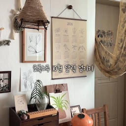 #콘수프기록집 #오늘의우리집 
10월 첫날 초록느루 식물 달력 넘기기🌿
9월 능소화 그림에서 10월 고려담쟁이 그림으로 넘겨주는 설레는 날은 기록을 해주어야지. 
행잉으로 키우고 있어 늘어지는 라인감이 멋스러운 나의 식물, 고려담쟁이를 사진에 담아주었다. 소중해🤎
모두 즐거운 10월 보내세요🍁
.
.
.
#식물 #식집사 #달력 #달력인테리어 #달력포스터 #탁상달력 #초록느루 #원목인테리어 #원목 #원목서랍 #포에트리앤스페이스 #킵페이퍼 #서류보관함 #원목서류보관함 #원목보관함 #우드서랍 #포스터 #포스터인테리어 #우드인테리어 