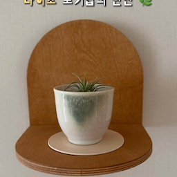 #콘수프기록집 #인테리어노하우
다이소 도기컵의 귀여운 변신 🌿
다이소에서 발견한 작은 도기컵,
그냥 지나치기 아쉬워 다육이 화분으로 만들어봤어요 🪴
컵 바닥에 배수 구멍을 뚫어주고
흙을 섞어 채운 뒤 다육이를 옮겨 심어주면 완성!
배수성이 좋은 다육이용 흙을 사용하는 걸 추천드려요.
💡 도기컵에 구멍을 뚫을 때는
컵과 작업 부위를 물에 충분히 적신 상태에서
무리하게 힘을 주지 말고 천천히 작업해 주세요.
작은 도기컵 하나 바꿨을 뿐인데
귀여운 다육이랑 너무 잘 어울리죠 🤍
저렴하게 즐길 수 있는 소소한 플랜테리어로 추천해요.
#다이소 #다이소추천템 #다이소DIY #도기컵 #다육이 #다육이화분 #화분만들기 #플랜테리어 #식물인테리어 #집꾸미기