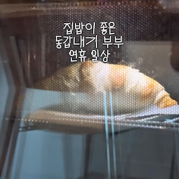 밥 해먹느라 바쁜 집순이 집돌이 부부 일상 𖤣𖥧 🏠 ˖ ࣪ ⊹
강경 외식보다 집밥파 부부 👩🏻‍❤️‍👨🏻
맞벌이 부부가 집밥 먹으려면 주말과 연휴에 바빠야 해요.
반찬 만들고 그 와중에 커피와 디저트타임까지
부지런히 보내본 연휴 일상 1탄 ⋆⭒˚｡⋆
매년 가을이면 연례행사처럼 먹는 대하 홈 파티 2탄도
곧 낋여와볼게요 🤤🦐
여러분도 즐거운 연휴 보내셨나요?
#연휴에뭐하집 #주방 #주방용품 #집밥 #신혼부부 #살림템 #주방템 #일상 #일상로그 #반찬 #반찬통 #쌀통 #파스타보관 #보관용기