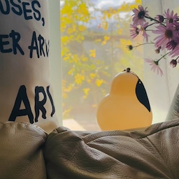 #나의일상 #콘수프기록집
#10뤌의어느멋진날 #창밖뷰 🏞️
#가을국화 #구절초🌸
🏡창밖에 앉은 바람한점에도 사랑은 가득 🤎이란 가사가  너무예쁜 10월의 어느 멋진날에🍁🍂