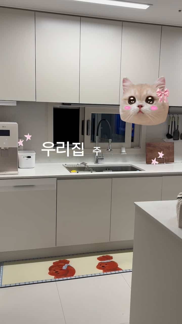 🤍キッチンテム第1弾|かわいいアイテムでいっぱい

キッチンは毎日使う空間なので
小さなアイテム一つにもお好みを込めて見ていますよ🏠

今回のキッチンテム1弾
すっきりしたキッチンに可愛さと感性を加えるアイテムたち🤍

🐰かわいいパターンのハンドタオルから
🖤淡いストライプオーブン手袋
🤎すっきりとした雰囲気を加えるまな板台まで

必ず必要なものだけを置いても
もう少し可愛く、少し可愛く✨

小さな小物一つでキッチンの雰囲気が変わるのが
最近はとても良いです:)

次のキッチンテム2弾も楽しみにしてください🫶🏻

今日の家 