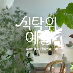 그릇 고를 때 제가 보는 기준은 딱 하나,
(예쁜 건 오브콜쓰구요🤭)
오래 써도 그대로일 것!
애정하는 노란 접시들은 내열유리라
전자레인지, 식세기도 문제없고
햇살 받으면 꿀색으로 변하는 게
너어무 예뻐요-✨
요 예쁜 그릇들 전~~부 오늘의집에서 골랐어요.
오늘의집 식탁위예술 기획전이 10/12에 시작돼요.
같이 구경하러 가요, 여러분🫶
#콘수프기록집 #예쁜템최고야 #그릇 #유리그릇 #믹싱볼
#접시 #유리접시 #식기추천 #그릇추천 #머그컵 #예쁜그릇 #예쁜접시