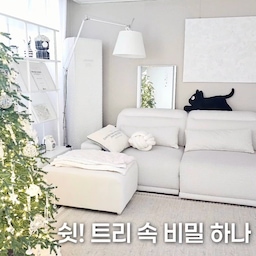 🤫 쉿! 트리 속에 작은 비밀이?
#인테리어노하우 #콘수프기록집
이번에 새롭게 꾸민 New 트리에
결혼기념일 맞이 서프라이즈를 준비했어요🤍
트리 잎사귀 사이에 배추 오너먼트!
초록색이라 그런지 운동하고 돌아온 남편이
트리를 보고도 한참 동안 눈치채지 못했답니다.
제가 알려주고 나서야 알게 된 남편🤣
리얼 서프라이즈 대.성.공이에요!!ㅎㅎ
트리를 조금 색다르게 즐기고 싶다면
특별한 날을 위한 돈나무 이벤트,
슬쩍 준비해 보는 건 어떠세요?!💸
Tip: 지폐에 굳이 실을 달거나 테이핑하지 않고,
트리 나뭇잎에 그냥 올리기만 하면 완성이에요🎄  
#달콤다린 #크리스마스트리 #크리스마스인테리어 #크리스마스트리꾸미기 #트리꾸미기 #트리장식 #크리스마스장식 #크리스마스소품 #크리스마스오너먼트 #크리스마스홈데코 #겨울인테리어 #거실인테리어 #거실꾸미기 #아끼는애정템  #홈스타일링 #인테리어소품 #조명탐구생활 #셀프인테리어 #크리스마스트리장식 #pe100 #트리 #크리스마스준비 #크리스마스맞이 #겨울맞이 #겨울맞이인테리어 #오너먼트 #트리오너먼트 #프리미엄오브제 