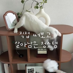 🧹 핌 먼지제거솔
집안 곳곳 뿌옇게 먼지 앉아있을 때
단순히 먼지를 털어내는 게 아니라
정전기 방식으로 흡착하니까 날리는 거 없이
먼지를 싸악 제거해줘요 🫧
🧽 밀대 청소포
생각보다 도톰하고 촉촉한 청소포 찾기가 은근 어렵더라고요
구매해서 사용해보면 얇고 사이즈도 넉넉치 않고
근데 이건 도톰하고 물기가 많아서 청소하기 너무 편해요 ✨
🪟 방충망 청소솔
방충망에 먼지 쌓이면 밖도 답답해 보이잖아요
물만 묻혀 쓱쓱 밀어주면 깔끔하게 정리돼요 ✨
밖도 훨씬 선명해져서 주기적으로 쓰기 좋았어요
🫧 세탁조 청소 세제
빨래에서 쿰쿰한 냄새 나면
세탁조 문제가 있을 수 있어요
간편하게 캡슐로 쏘옥 넣어
주기적으로 관리해보세요 🤍
🐾 덤프더스터
물만 묻혀 사용하면 돼서 정말 간편하고
먼지, 특히 고양이털처럼 제거하기 어려운 것도
싸악 잡아주더라고요 😺
#청소템 #청소꿀팁 #먼지청소 #살림템 #살림꿀템 #ftc #ftc29기 #실링팬청소 #방충망청소 #집사생활 