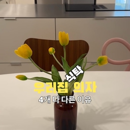 우리집 식탁의자 4개 다 다른 이유 🎀
어쩌다
각자 마음에 드는 걸로 하나씩 골라보니 
딸이 고른 의자, 내가 고른 비트라,
포인트 주려고 고른 핑크 리본체어까지
다 달라서 더 귀여운 우리집 식탁 🪑
이 조합 괜찮을까요?
제일 마음에 드는 의자 알려줘요!
#식탁의자 #리본체어 #비트라체어 
#식탁인테리어 #주방인테리어소품 #프리츠한센테이블 #프리츠한센의자 #세븐체어 #리본의자 #홈카페 #홈스타일링 #홈카페존 #테이블추천 #식탁의자추천 #이케아의자 #홈인테리어 #구축인테리어 #주방인테리어 #스텐상판 #주방소품 