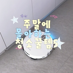 평일은 힘들어, 주말에 몰아하는 청소꿀템 5 🧹
혐생 사는 직장인이라 평일엔 퇴근하고 손 하나 까딱하기 싫어요.
그래서 청소는 주말에 몰아서! 조금 더 청소를 쉽게 도와주는 꿀템들 가져왔어요.
1️⃣ 드리미 X60 Master
인테리어할 때 직배수로 설치해서 물통 갈 일이 없어요. 납작해서 침대 밑까지 쏙 들어가요. 직배수 로청 중에선 가성비 괜찮은 편이에요.
2️⃣ 다이소 부직포 먼지털이
정전기로 먼지를 붙잡아요. 부드러워서 조명이랑 전자제품도 쓱 닦여요. 리필이 5개에 천 원인 찐찐찐 가성비템.
3️⃣ 이지탭 프로 밀대
밀대에 걸레 끼울 때 무릎 안 굽혀도 돼요. 발로 톡 누르면 끼워져서 바로 청소 시작. 뒤집는 것도 원터치예요.
4️⃣ 스크럽대디 더스트댐프
창틀 닦을 때 주로 써요. 물만 묻히면 먼지가 날리지 않고 붙어요. 스펀지는 헹궈서 계속 쓰면 돼요.
5️⃣ 행주대첩
거친 면, 부드러운 면 두 가지라 세제 없이 물때랑 기름때가 닦여요. 수전이 아주 반짝반짝 ✨
짧고 소중한 주말, 우리 청소 빨리 끝내고 즐거운 주말 보내봐요 🫧
다들 주말에 몰아서 하는 청소 하나씩 있죠? 꿀템 있으면 알려주세요!
#오늘의집FTC #ftc29기 #청소꿀템 #주말청소 #직배수로봇청소기 #다이소꿀템 #원터치밀대 #창틀청소 #물때제거
