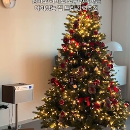 #예쁜템최고야 #콘수프기록집 
반짝반짝 마음 설레이는 트리 ❤️
전구 일체형으로 트리만 꽂아주면 끝이라 
예쁘면서도 아주 편한 아이템! 
오너먼트에 따라 분위기도 달라져서 
아이랑 함께 꾸미는 재미도 있어요 
#조명일체형트리 #트리전구 #트리조명 #트리오너먼트 #곰돌이트리 #크리스마스트리 #대형트리 