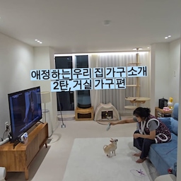 🏡🤍 애정하는 우리 집 가구 소개 2탄! 
이번엔 거실 가구예요.
🛋️ 웰퍼니쳐 에이든 아쿠아텍스 패브릭 3인용 소파
헤드 각도 조절이 가능해서 편하게 기대기 좋아요!
패브릭 소파를 고른 이유는 바로 ~~
콩이가 🐈물고 뜯고 씹는 걸 좋아해서 걱정했는데, 
어느덧 사용한 지 3년 정도?생각보다
잘 버텨주고 있어서 만족하며 사용 중이에요 🤍
3인용이면 충분할 줄 알았는데 얼룩이, 콩이, 로이까지 식구가 많아지니 작아 보이네요 ㅋㅋㅋ 
엄마가 있으면 다 올라오고🐕🐈🐈
 제가 있으면 로이만 와줘요 🐾 치사한 냥이들
🤎 까르엠가구 참죽나무 원목 루버린 1200
견고한 참죽나무 원목에 세로 루버 디자인이
 더해져 깔끔하면서도 따뜻한 느낌이 들어요. 
자연스러운 나뭇결과 색감 덕분에 화이트톤 거실에 포인트 주기에도 딱이에요 ✨
화이트톤 거실에 소파와 원목으로 포인트 주기, 괜찮나요? 🤍
#오늘의집 #오늘의집크리에이터 #오늘의집패스트트랙 #거실인테리어 #웰퍼니쳐 #에이든소파 #까르엠가구 #참죽나무거실장 #집꾸미기 #내돈내산추천템 
