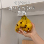 #주방필수템 #주방정리템

주방에서 은근히 손 많이 가는 것들,
작은 아이템 몇 개만 바꿔도 훨씬 편해져요✨

🍌 두기 애매한 바나나는
바나나 걸이에 깔끔하게 걸어 보관하고,
사용하지 않을 땐 접어서 쏙!

💦 설거지 후 싱크대에 남은 물기는
자동 스퀴지로 슥- 밀어주면 끝.
물기 없이 깔끔하고 보송한 싱크대 유지하기👌

🍳 자리 많이 차지하는 프라이팬은
바퀴 수납함에 차곡차곡 정리해두면
필요할 때 꺼내기도 훨씬 편해요.

별거 아닌 것 같지만
한 번 사용하면 없던 때로 돌아가기 힘든 주방템들🤍

주방은 깔끔해지고,
정리는 편해지고,
소소하게 삶의 질까지 상승✨

#주방필수템 #주방꿀템 #주방용품 #주방정리 #주방수납 #싱크대정리 #싱크대청소 #바나나걸이 #자동스퀴지 #프라이팬정리 #프라이팬수납 #수납정리 #정리정돈 #살림템 #살림꿀템 #살림아이템 #생활용품 #주방인테리어 #깔끔한주방 #삶의질상승템 #오늘의집 #오늘의집스타일링