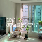 오늘의 거실 일정 :)

#오늘의우리집 #콘수프기록집 #거실인테리어 #미니선반 #몬스테라 #몬스테라키우기 #오늘의가든 #거실풍경 #거실꾸미기 #30평대 #아파트인테리어 #미니멀인테리어 #미니멀라이프 #집에서놀기 

2년을 기다린 에어쇼
집에서 꼬박꼬박 챙겨보는 중 입니다 😍😍

물론 행사장이나 바닷가에서 보면 더 멋집니다.
(어제는 행사장근처에서 보고 왔어요👍🏻)
