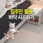 전셋집도 가능한 집주인 몰래 바닥 시공하기🤫
 
겨울맞이 침구 바꿨는데... 이상하게 뭔~가 2% 아쉬운 거 있죠?
전셋집이라 바닥은 당연히 포기해야 하는 줄 알았는데, 원상복구 가능한 데코타일 덕분에 드디어 원하는 분위기를 찾았어요🤍
 
침대 프레임이랑 찰떡인 '화이트크림' 컬러로 골랐는데, 리무벌 스티커 타입이라 혼자서도 뚝딱 할 수 있답니다!
 
✨ 이 데코타일이 전셋집에 찐으로 추천하는 이유
1️⃣ 끈적임 없는 리무벌 스티커로 흔적 없이 원상복구 가능
2️⃣ 고급스러운 화이트크림 컬러와 맨발로 다녀도 좋은 보송없어요✨한 질감
3️⃣ 3T 두께라 들뜸 없이 탄탄하고 안정감 있는 밀착감
 
이사 갈 때 싹 떼어갈 거라 집주인 몰래 기분 전환용으로 진짜 이만한 게 없어요!

#FTC28기 #콘수프기록집 #인테리어노하우 #침실 #바닥인테리어 #침실인테리어 #침실스타일링 #침실꾸미기 #가을맞이 #가을침구 #겨울맞이 #겨울침구 #전세집인테리어 #전세집꾸미기 