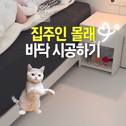전셋집도 가능한 집주인 몰래 바닥 시공하기🤫
겨울맞이 침구 바꿨는데... 이상하게 뭔~가 2% 아쉬운 거 있죠?
전셋집이라 바닥은 당연히 포기해야 하는 줄 알았는데, 원상복구 가능한 데코타일 덕분에 드디어 원하는 분위기를 찾았어요🤍
침대 프레임이랑 찰떡인 '화이트크림' 컬러로 골랐는데, 리무벌 스티커 타입이라 혼자서도 뚝딱 할 수 있답니다!
✨ 이 데코타일이 전셋집에 찐으로 추천하는 이유
1️⃣ 끈적임 없는 리무벌 스티커로 흔적 없이 원상복구 가능
2️⃣ 고급스러운 화이트크림 컬러와 맨발로 다녀도 좋은 보송없어요✨한 질감
3️⃣ 3T 두께라 들뜸 없이 탄탄하고 안정감 있는 밀착감
이사 갈 때 싹 떼어갈 거라 집주인 몰래 기분 전환용으로 진짜 이만한 게 없어요!
#FTC28기 #콘수프기록집 #인테리어노하우 #침실 #바닥인테리어 #침실인테리어 #침실스타일링 #침실꾸미기 #가을맞이 #가을침구 #겨울맞이 #겨울침구 #전세집인테리어 #전세집꾸미기 
