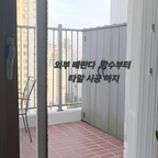 물 새고 밤티 나는 베란다 시공 
방수젤과 가루 접착제를 섞어 바르고 편평하게 해주고
이틀을 드라이시켰어요. 타일은 이태리 수입 와인컬러로
선택하구요.  타일 시공은 전문가에게 ,
지저분한 턱은 직접 페인팅 하고 2주만에 마무리. 
#베란다꾸미기 #콘수프기록집 #방수공사 #타일시공 #페인트
#직접시공 #외부베란다시공기 #베란다인테리어 #수입타일 
